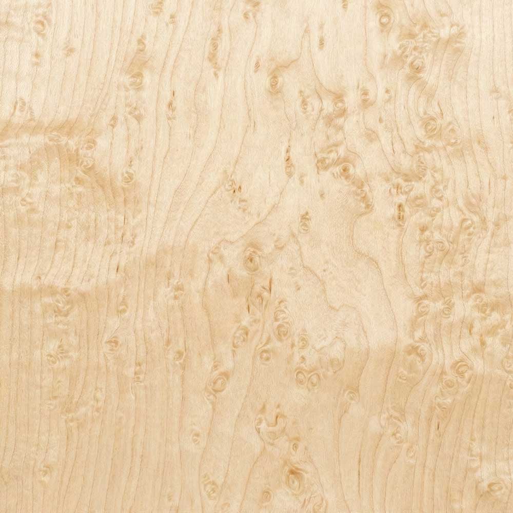 A detailed close-up of a Birdseye Maple veneer, featuring a creamy blonde background speckled with tiny, swirling "eyes" or knots throughout the grain.